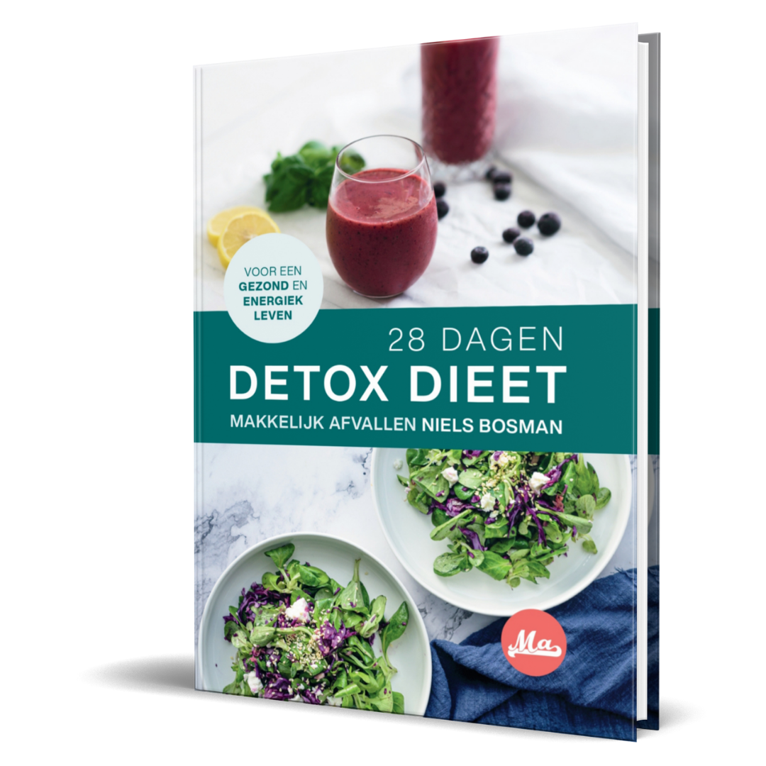 28 dagen detox dieet boek