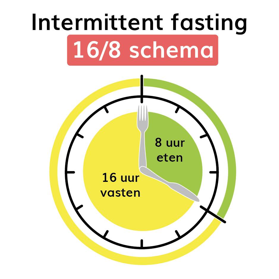 Intermittent fasting 16/8 schema om af te vallen