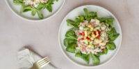Gezonde tonijnsalade met fruit en groenten bij keto dieet