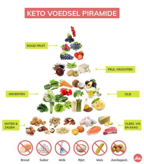 Keto Dieet Beginnen 8 Cruciale Antwoorden Over Ketogeen Ma 1104