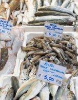 Verzameling van vette vis die je op de markt kan kopen